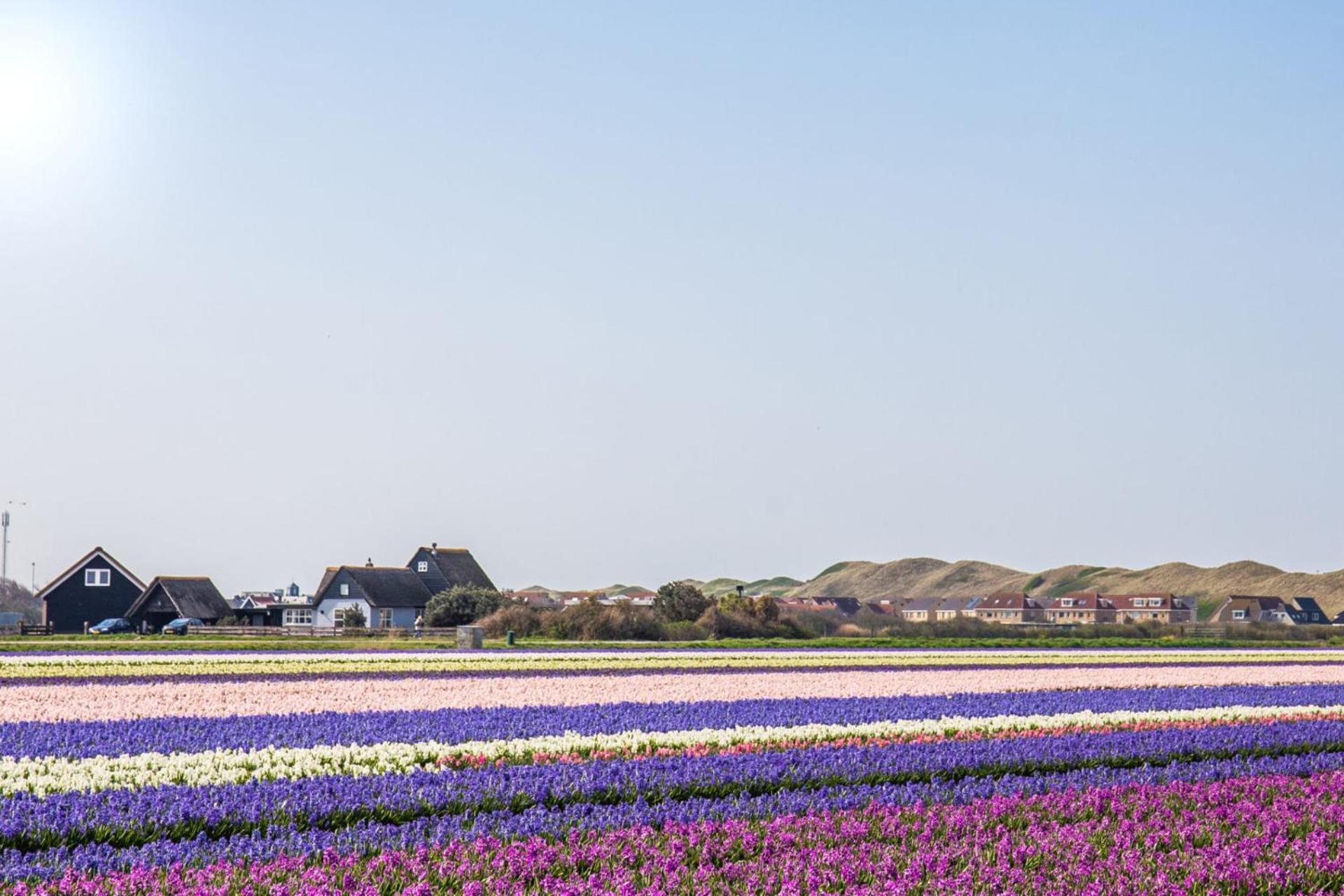 Vakantiehuis Zilt - Julianadorp Aan Zee Dış mekan fotoğraf